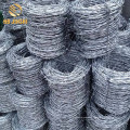 Double Twist Galvanized Barbed Wire Made in China